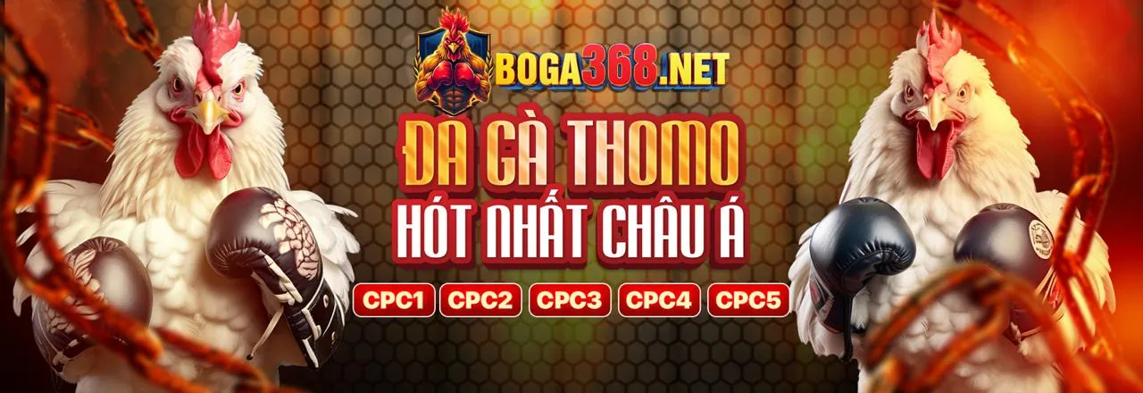 Đá gà kịch tính tại 88ok code